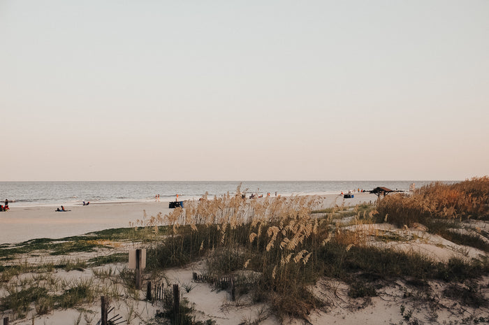 Tunisia — 8 Days on the Hammamet Coast